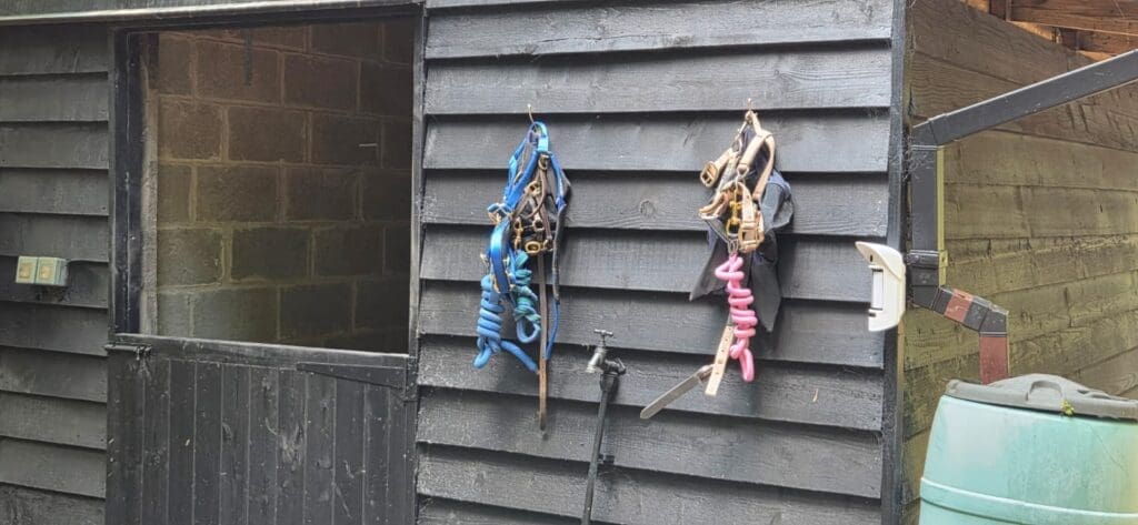 Outdoor alarm detector protecting a garage and outbuilding